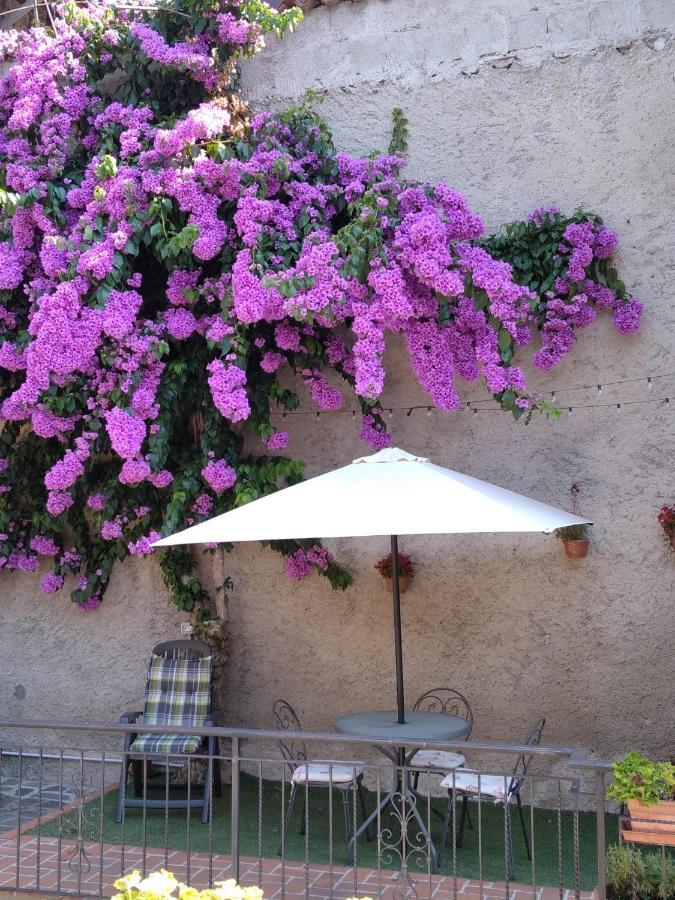 Il Giardino Di Laura Apartment Toscolano Maderno Ngoại thất bức ảnh